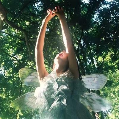 深入敌后：危险营救